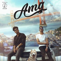 Amg (feat. FLOWZ) - Single - Z I A D