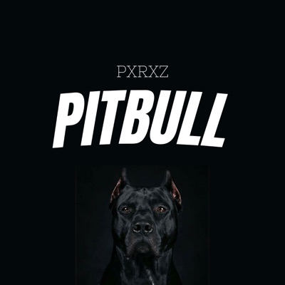 Pitbull - Single
