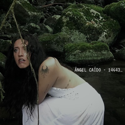 ÁNGEL CAíDO - 14643... - Single