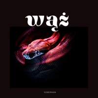 WĄŻ - Single - Soberman