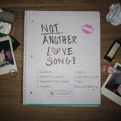 Not Another Love Song