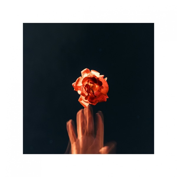 Save a Little Love - Single