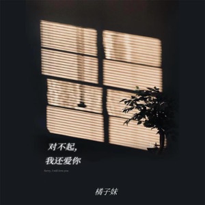 对不起,我还爱你 (DJR7版) - Single