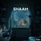 Shaam - Aristine lyrics