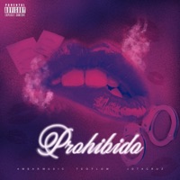 Prohibido (feat. Ambar Music & JOTACRUZ) - Single - TeoFlow