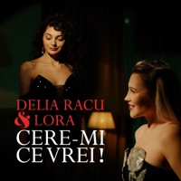 Cere-mi ce vrei! (feat. Lora) - Single - Delia Racu