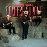 Como Se Supone - Single - Codigo Seis 4