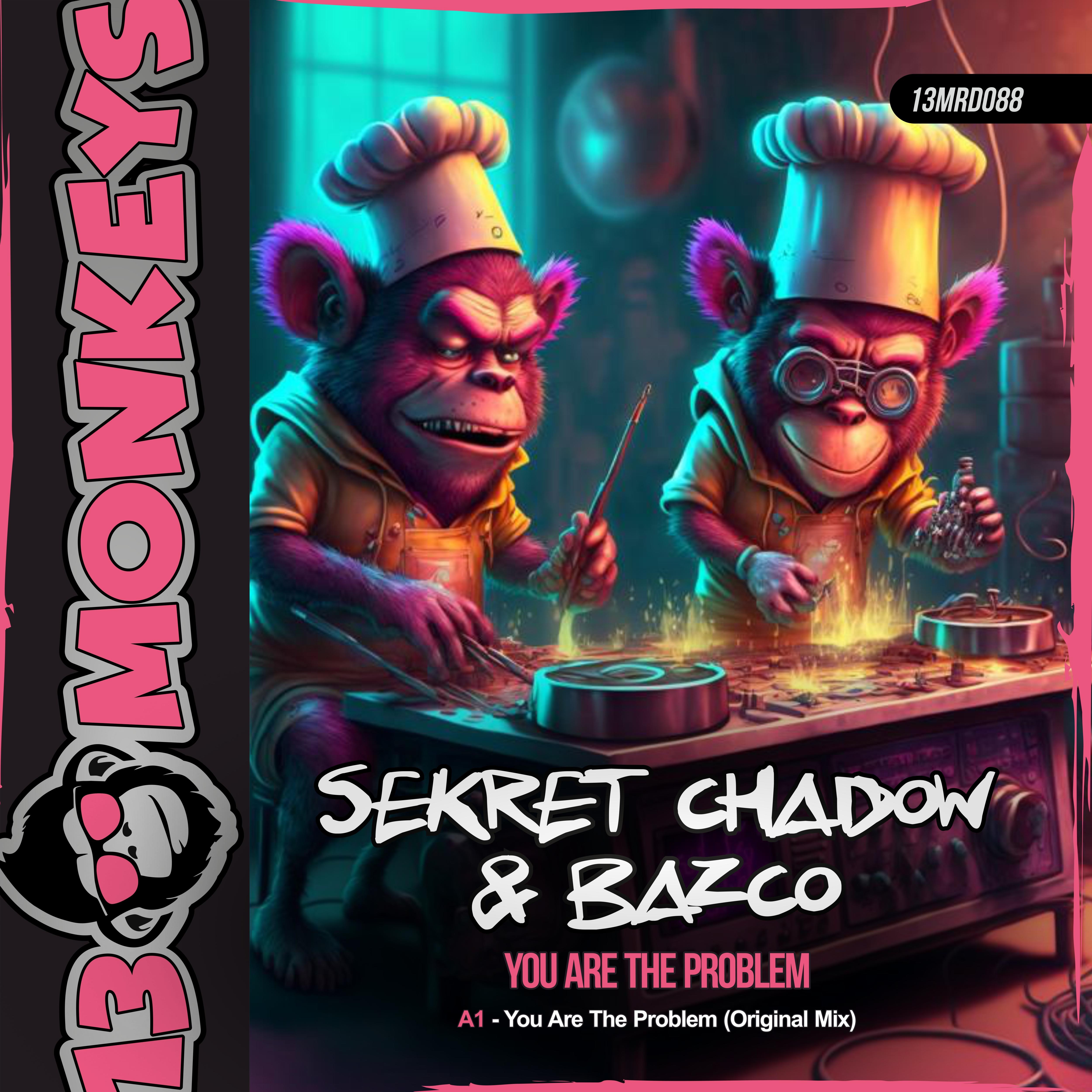 You Are the Problem - Single