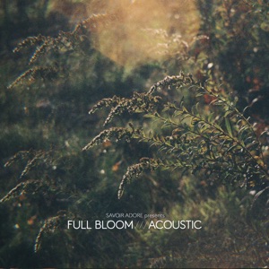 Full Bloom (Acoustic) - EP