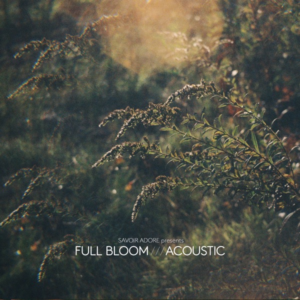 Full Bloom (Acoustic) - EP