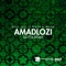 Amadlozi (feat. Slaga & Idelan) [Slotta Remix] artwork