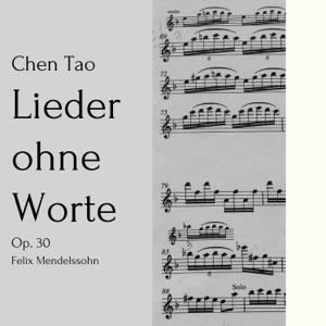 Lieder ohne Worte, Op. 30: I. Andante espressivo