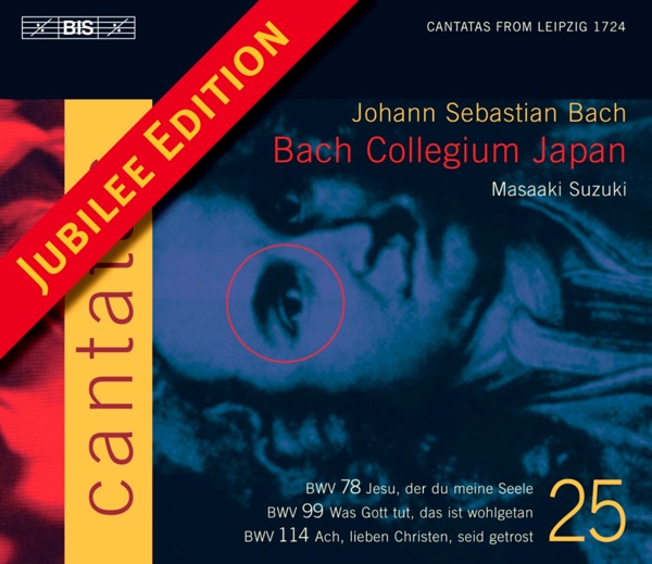 Bach: Cantatas, Vol. 25  - BWV 78, 99, 114