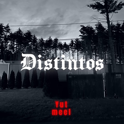 Distintos - Single