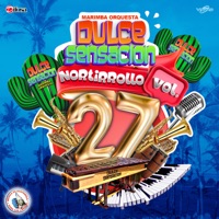 Marimba Orquesta Dulce Sensacion - Mix Primavera: Necesito Decirte / Algo de Mí / Ave Cautiva / Una Vez Mas