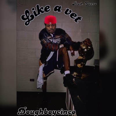 Like a Vet - Single