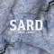 Sard - Swleh & Madzi lyrics
