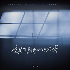 这是你期盼的长大吗 ZQS