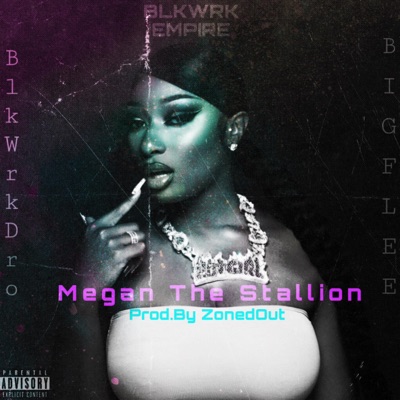 Megan the Stallion (feat. FNF Big Flee) - Single