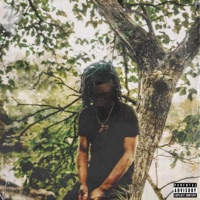 Seen (Feat. 24.) - Single - Qualls