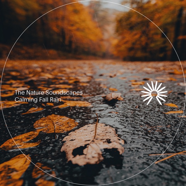 Calming Fall Rain