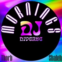 Mornings (feat. Shaleh & Thorb) - Single - DJ Diverse