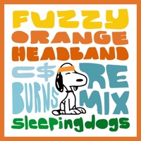 Fuzzy Orange Headband (feat. andrew, Jesse the Tree & C Money Burns) [C$Burns Remix] - Single - sleepingdogs