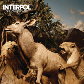 Our Love To Admire - Interpol Cover Art