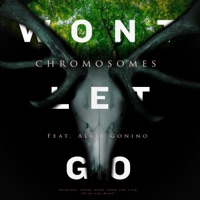 Won't Let Go (Theme from Hear the Dark) (feat. Allie Gonino) - Single - Chromosomes