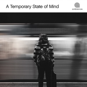 A Temporary State of Mind - EP