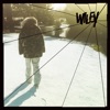 Pies cover art