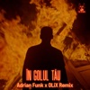 În Golul Tău (Adrian Funk x OLiX Remix) - Single