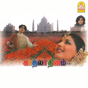 Dandiya Aattamumaada