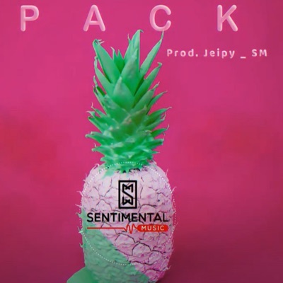 PACK_type beat Reggaeton 2020 - Single