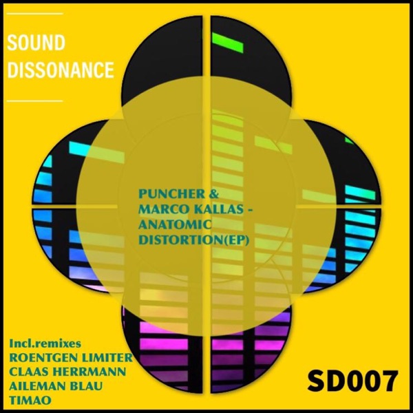 Anatomic Distortion