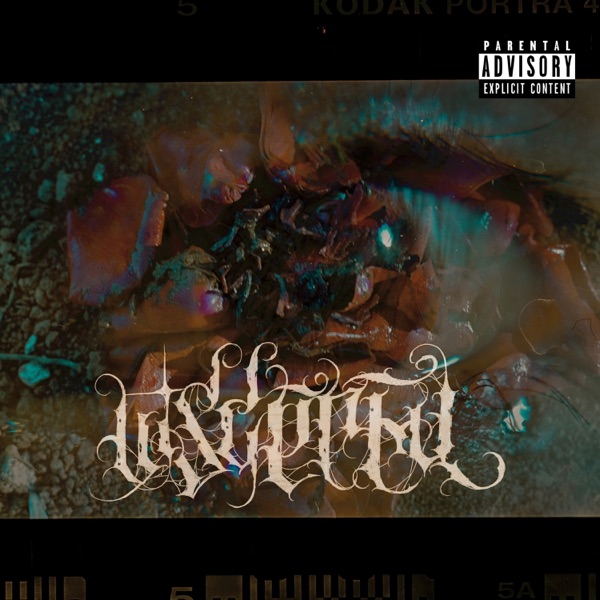 Visceral (feat. Chech)