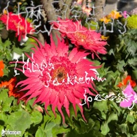 什么是错的 (feat. Jackzebra & Joecroskey) - Single - 1kbps