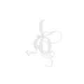 John Zorn