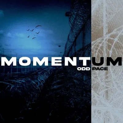 Hör dir „Momentum - EP“ von Odd Pace an