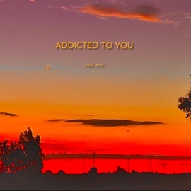 Addicted To You (feat. NVS) Zayga