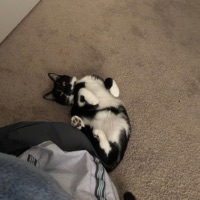 Talking Big - Single - SILVER!