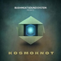 Kosmoknot - EP - Bushmeat Sound