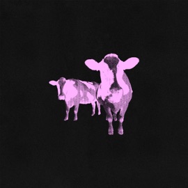 Долбим? wilbbt & YAKIT