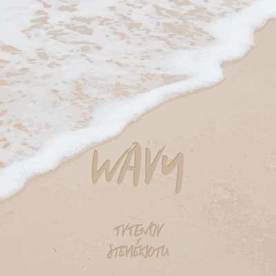 wavy (feat. Steviekiotu) - Single
