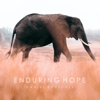 Enduring Hope - Daniel Deuschle