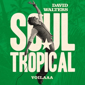 Soul Tropical (Voilaaa Remix) - Single