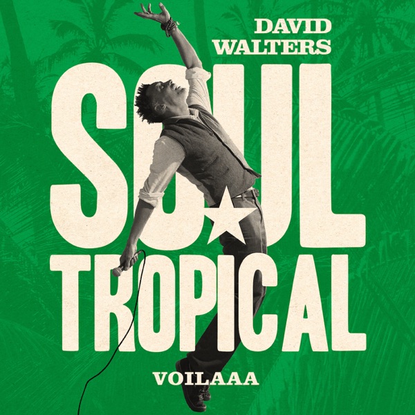 Soul Tropical (Voilaaa Remix) - Single