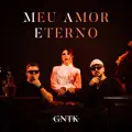 MEU AMOR ETERNO