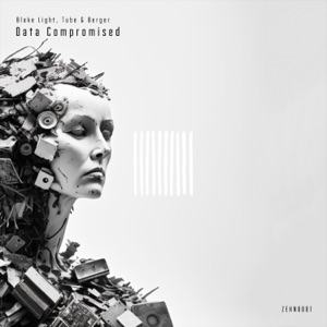 Data Compromised - Single