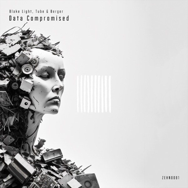 Data Compromised - Single